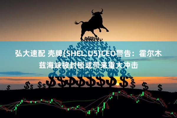 弘大速配 壳牌(SHEL.US)CEO警告：霍尔木兹海峡被封锁或带来重大冲击