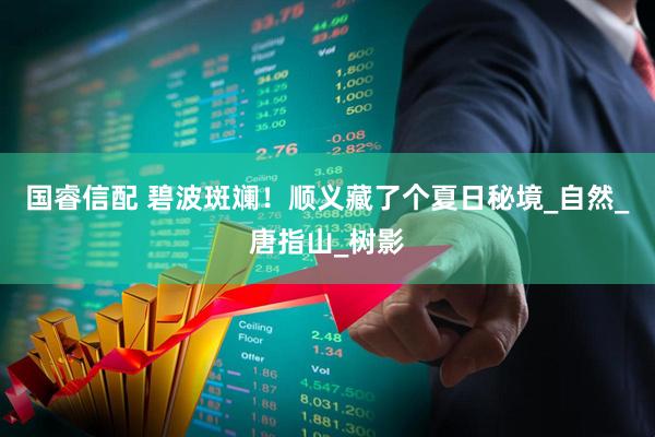 国睿信配 碧波斑斓！顺义藏了个夏日秘境_自然_唐指山_树影