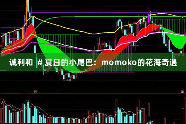 诚利和  # 夏日的小尾巴：momoko的花海奇遇